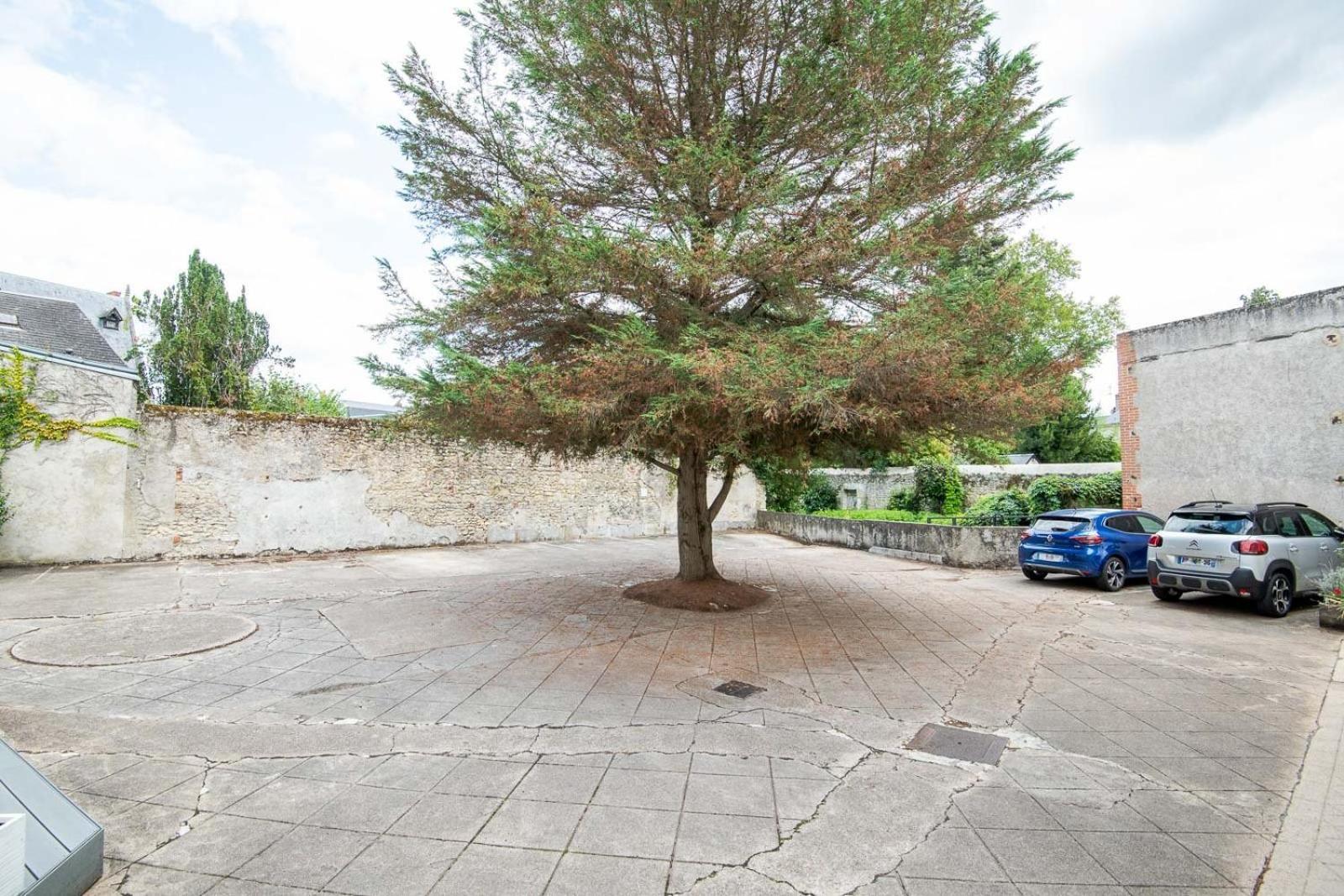 Apartmán L'Ecureuil - Small T2 For 2 Pers. Amboise Exteriér fotografie